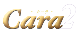 llȃJ[logo