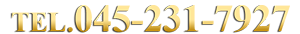 \db:045-231-7927